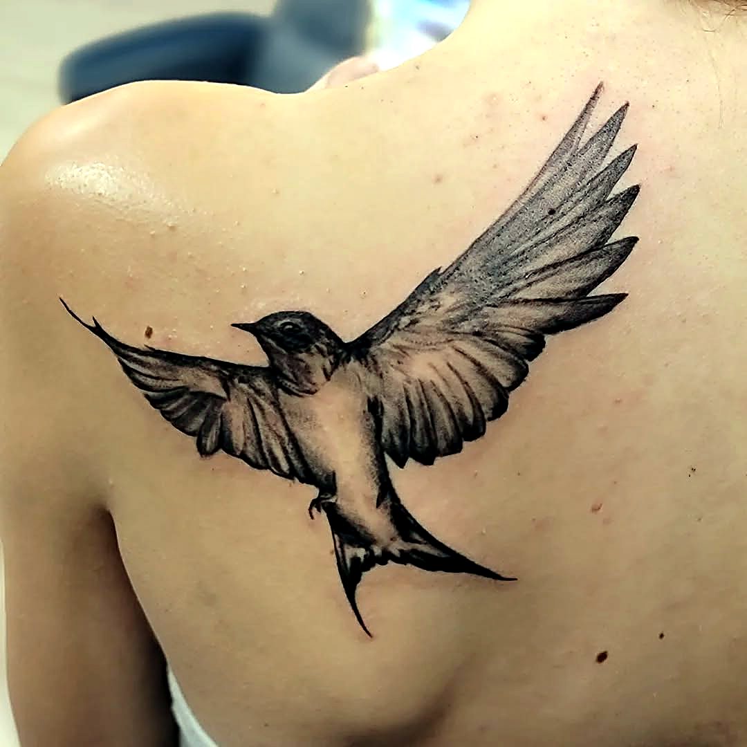 Swallow tattoo — House of Jackalope, Mansfield OH