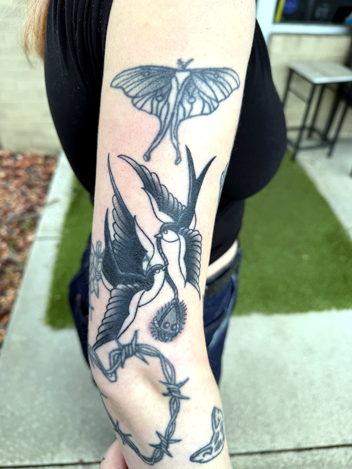 Luna Moth & Swallows tattoo — House of Jackalope, Mansfield OH